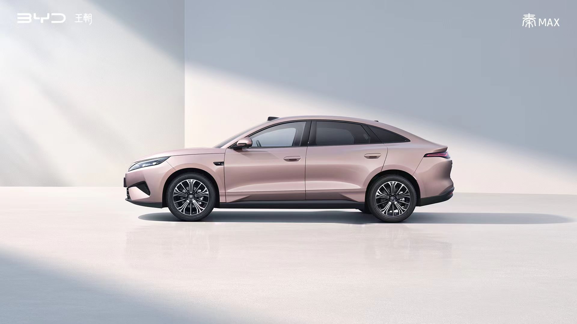 BYD 친 맥스 EV 사이드