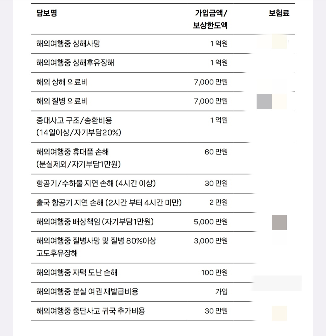 해외여행자보험1-카카오페이보험