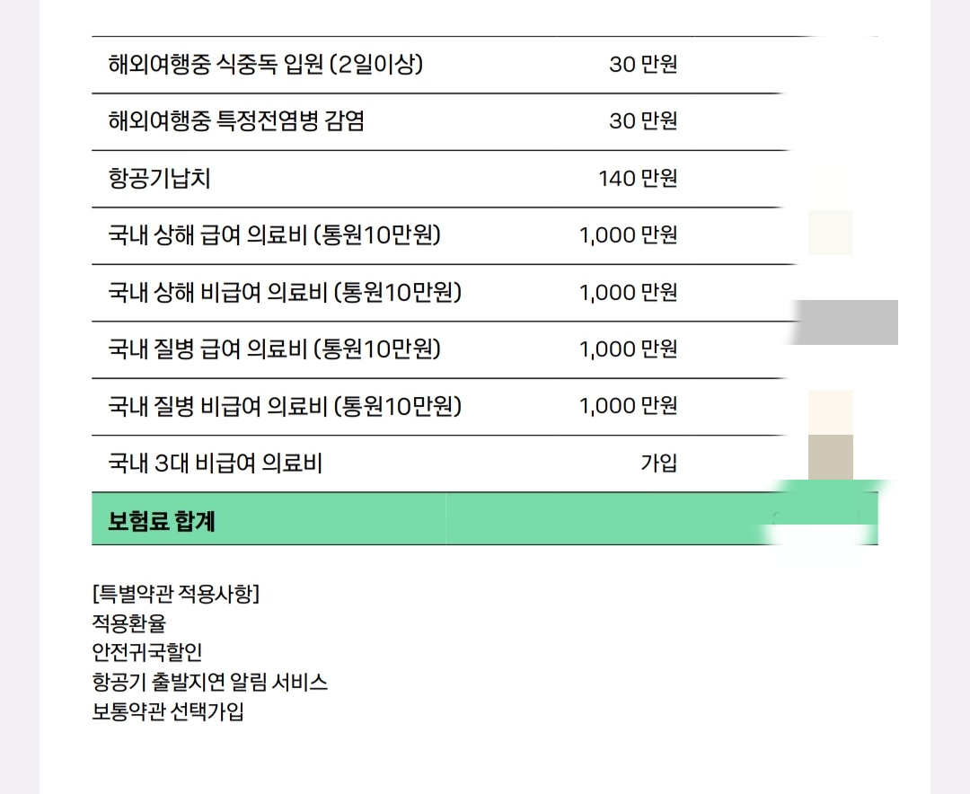 해외여행자보험2-카카오페이보험