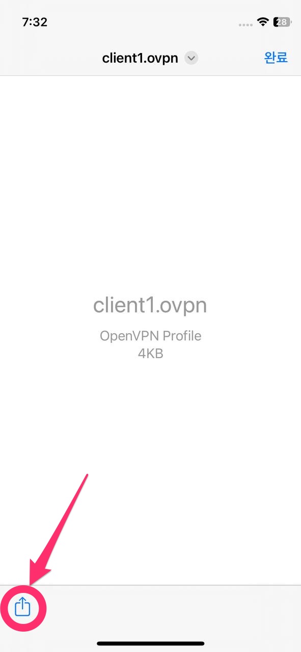 OpenVPN 1